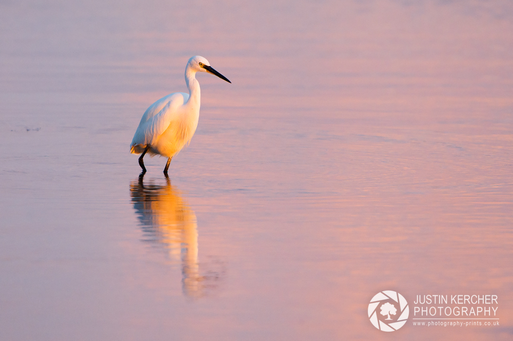 Tranquility II