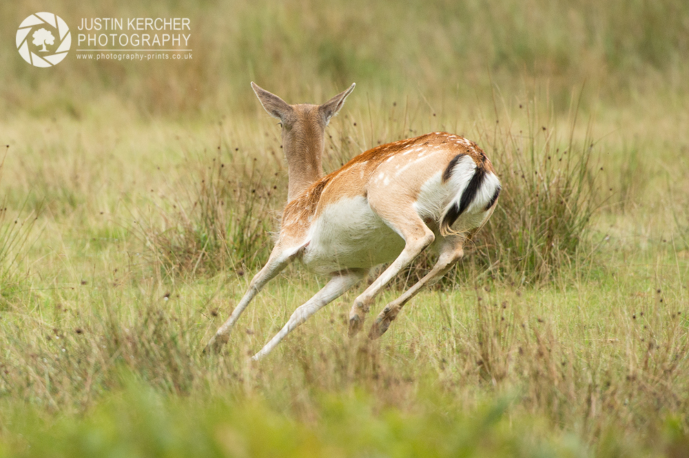Sharp Turn