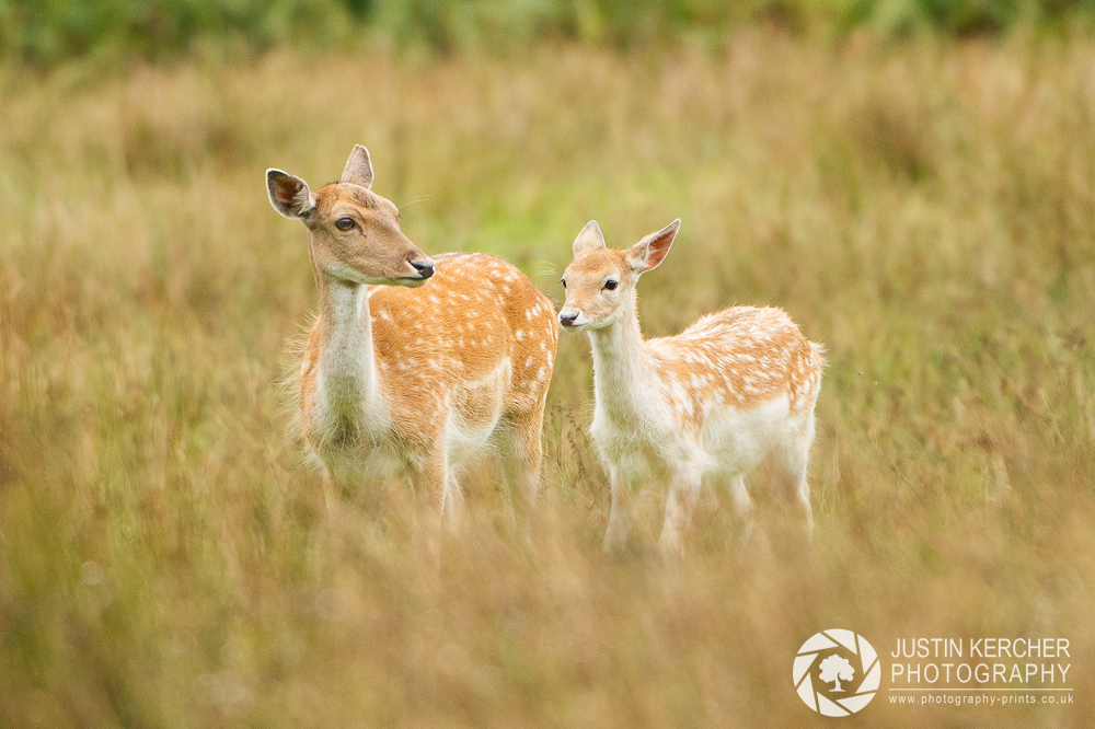Mother and Daughter