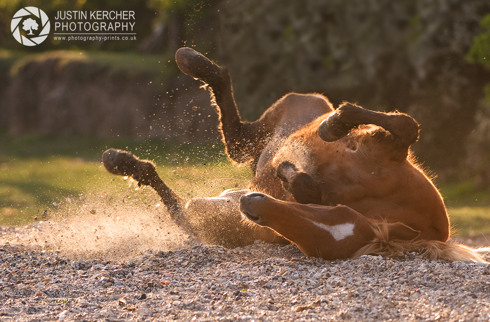 Rolling in the Sand