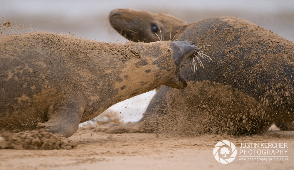 On the Attack