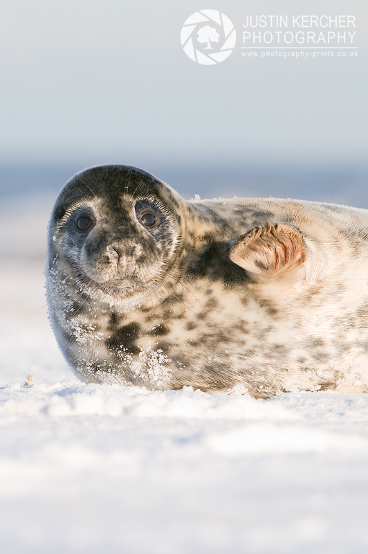 Waving Goodbye