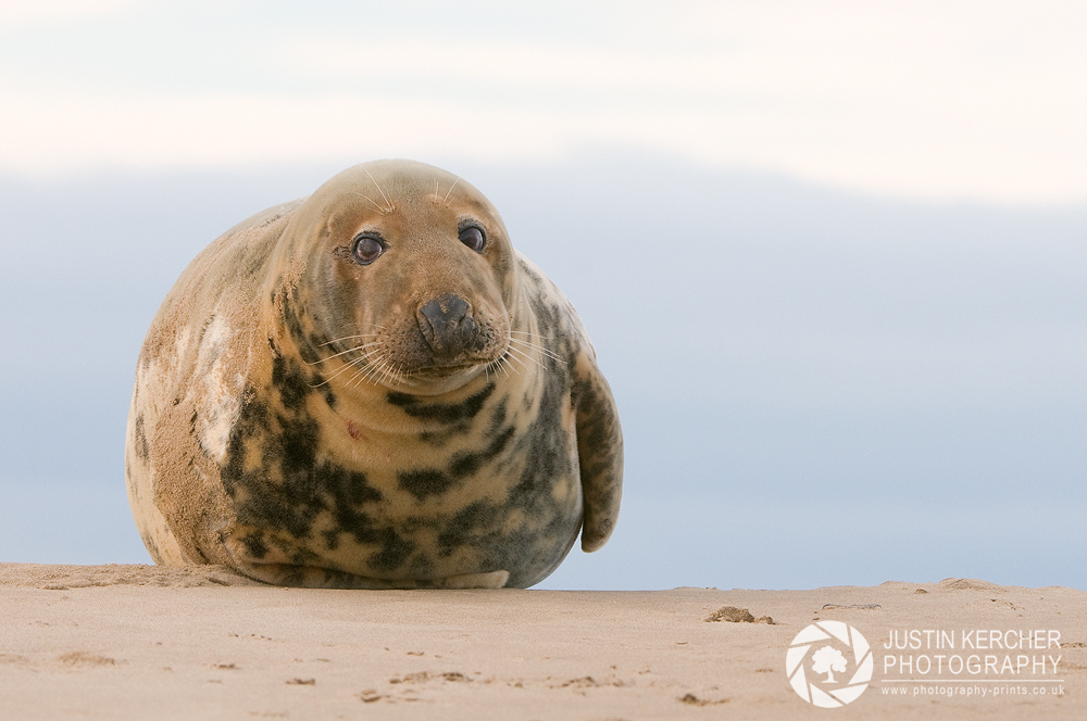 On a Dune