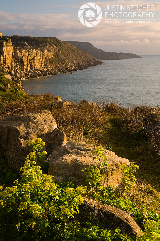 Portland Coast