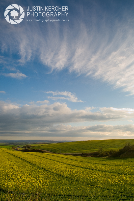 Bincombe Down