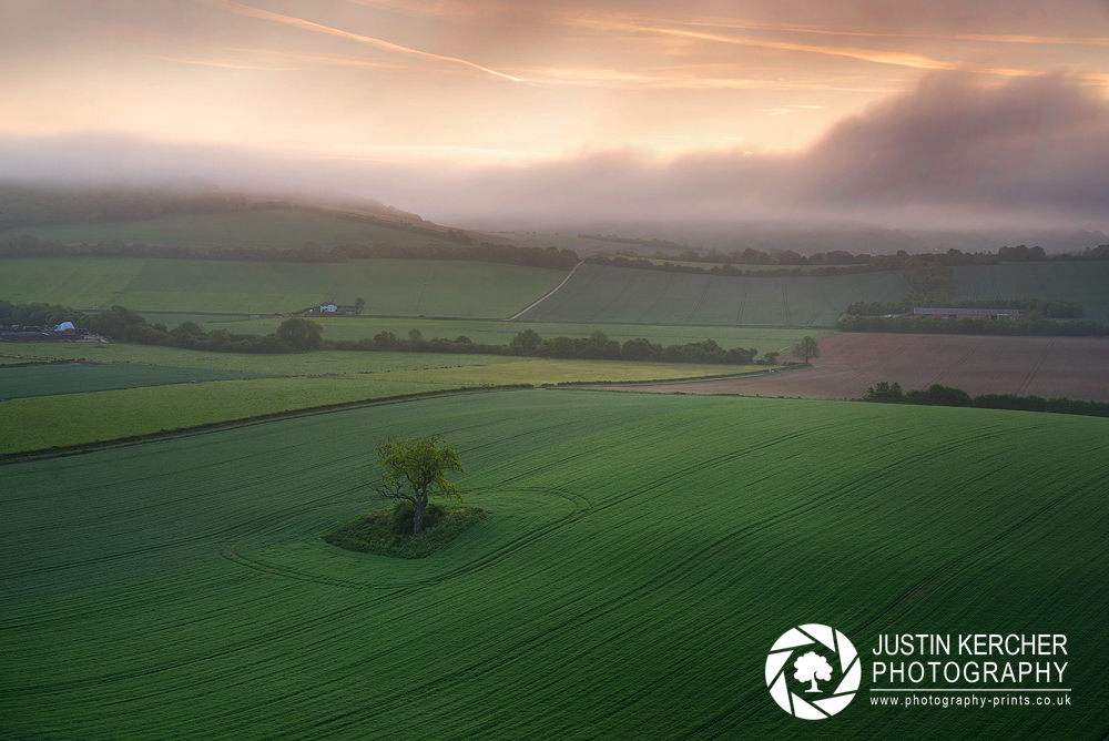 Foggy Morning on the South Downs