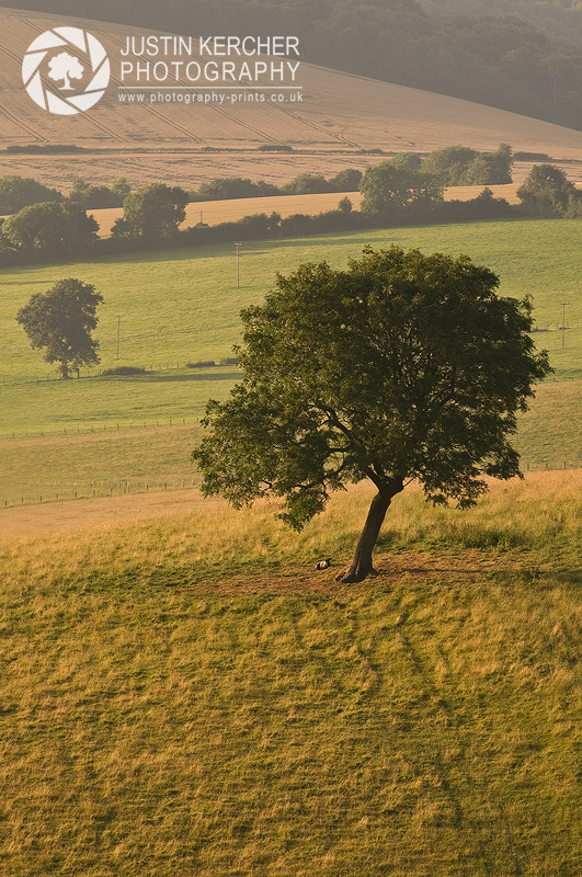Standing Alone