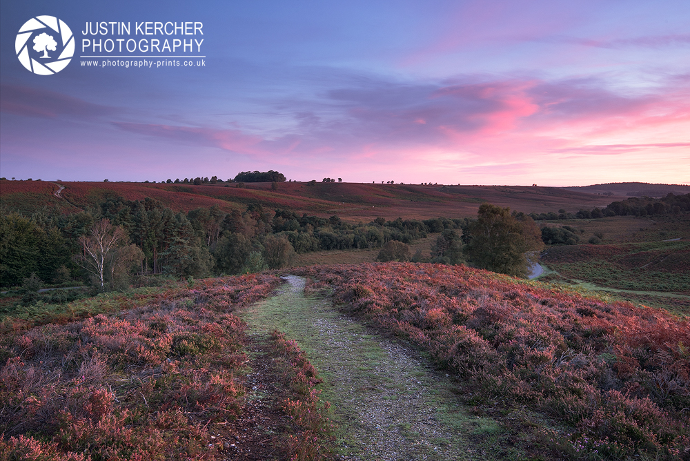 Fiery Dawn over Linwood