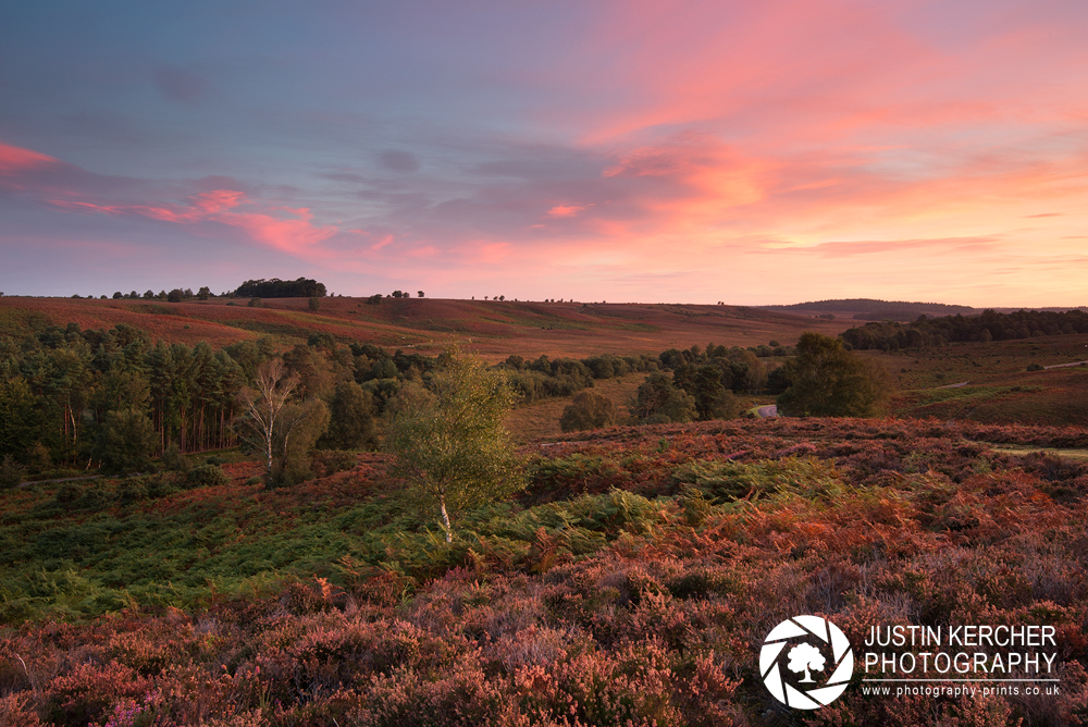 Fiery Dawn over Linwood II