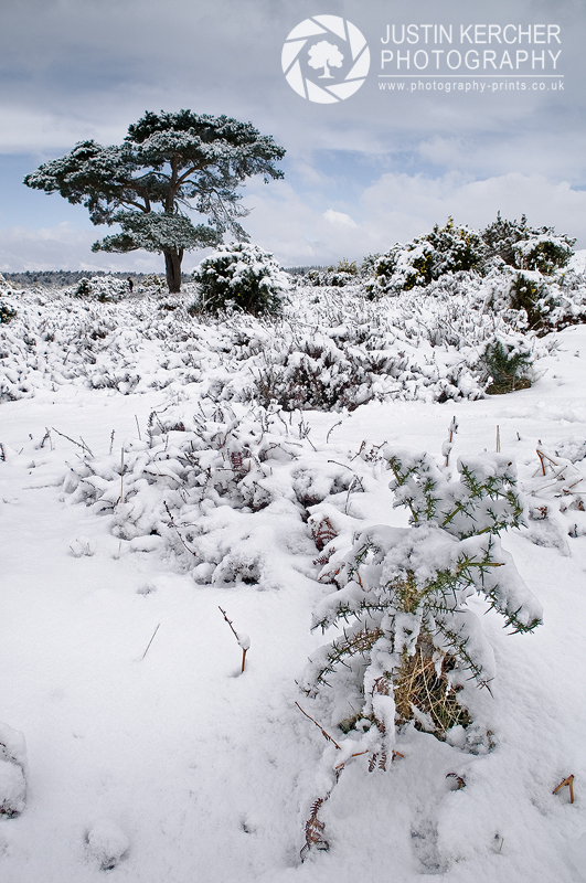 Snow at Bratley View