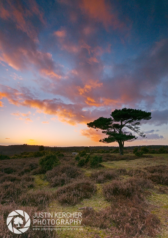 Bratley View Sunset