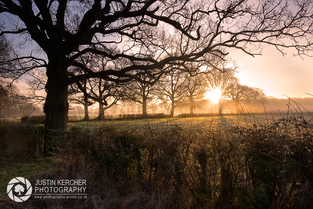 Sunrise in Ashurst