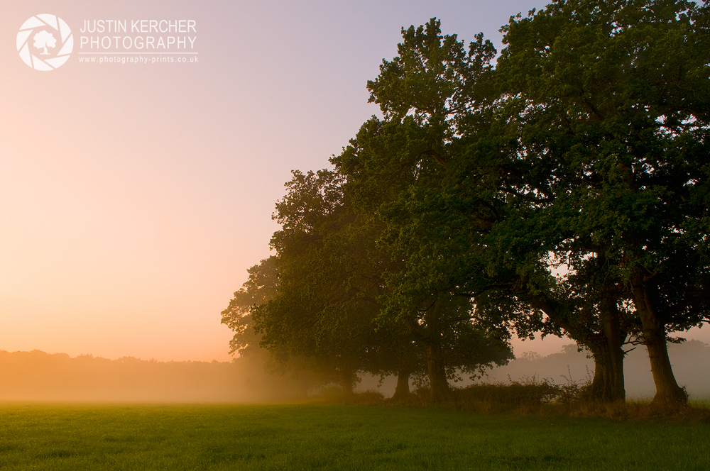 Dawn in Ashurst
