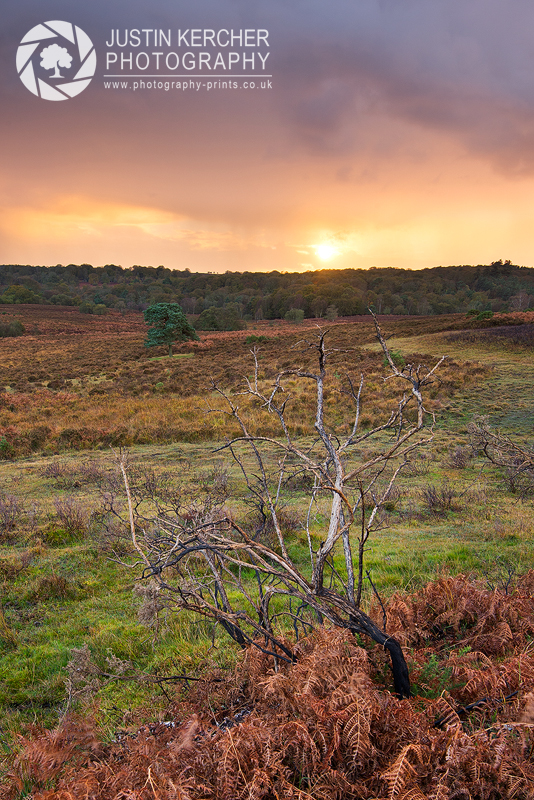 Storm Over Bratley View