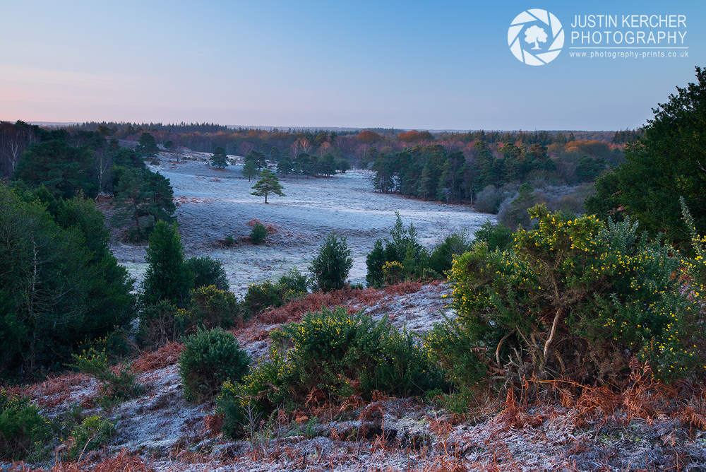 Dawn at Acres Down II