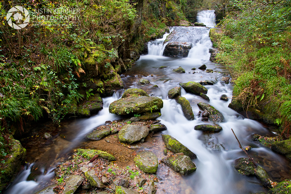 Hoar Oak Water I