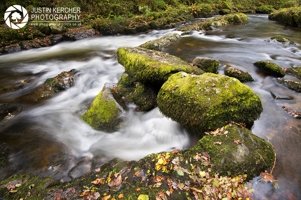 Mossy Rocks