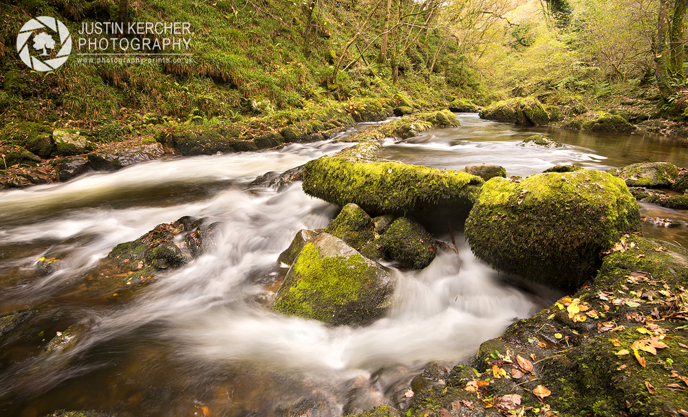 Mossy Rocks II