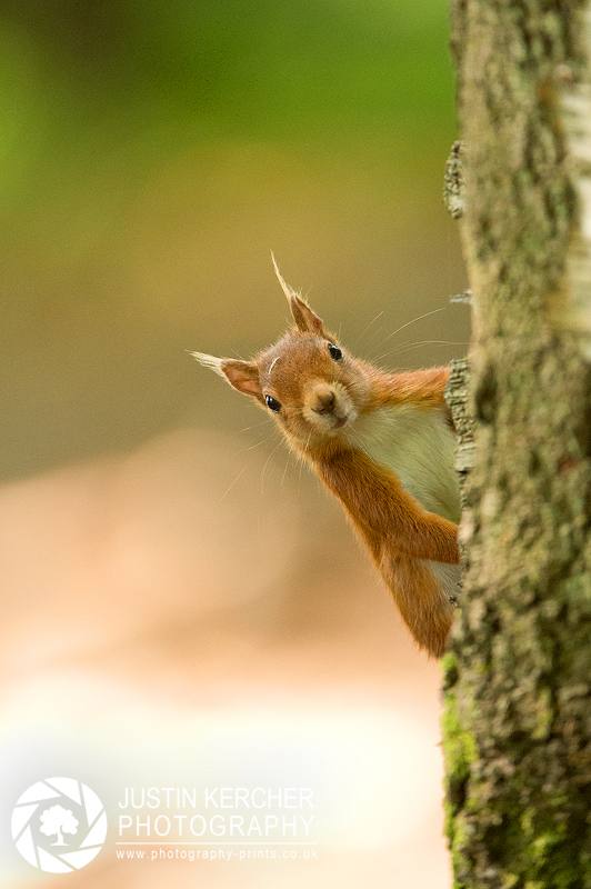 Hello? Who's there?